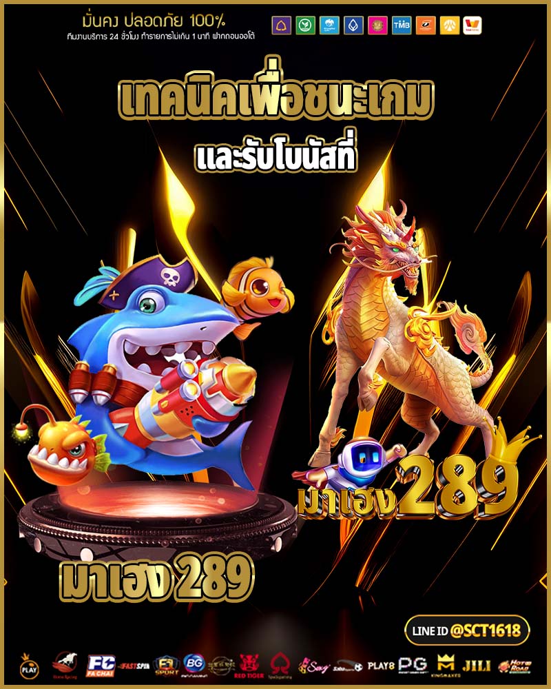 เทคนิคเพื่อชนะเกม และรับโบนัสที่ มาเฮง 289